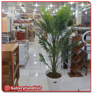 درختچه بزرگ کد 1